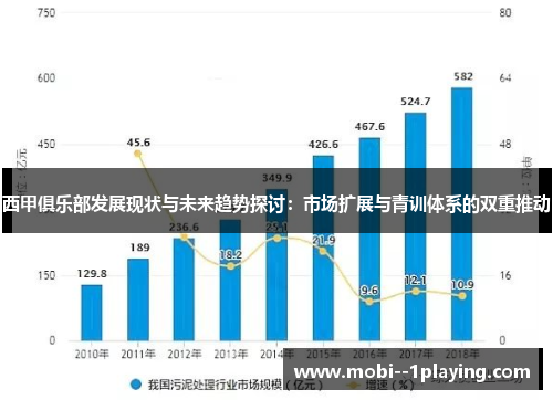 西甲俱乐部发展现状与未来趋势探讨：市场扩展与青训体系的双重推动