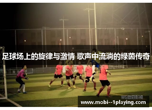 足球场上的旋律与激情 歌声中流淌的绿茵传奇