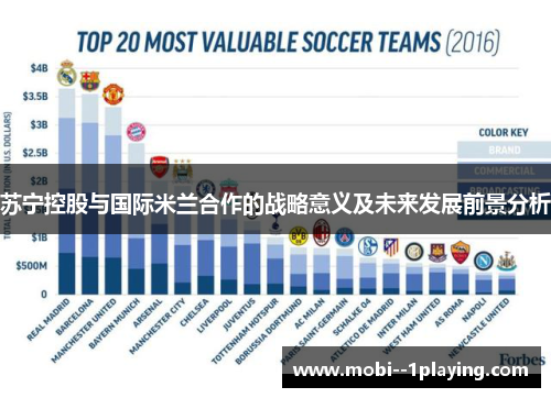 苏宁控股与国际米兰合作的战略意义及未来发展前景分析