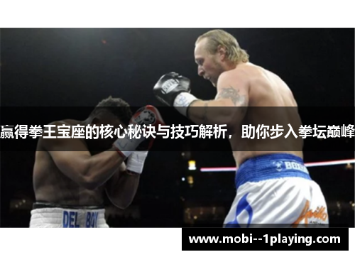 赢得拳王宝座的核心秘诀与技巧解析，助你步入拳坛巅峰