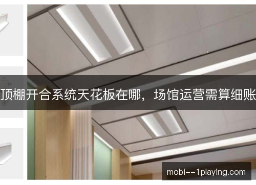 顶棚开合系统天花板在哪，场馆运营需算细账
