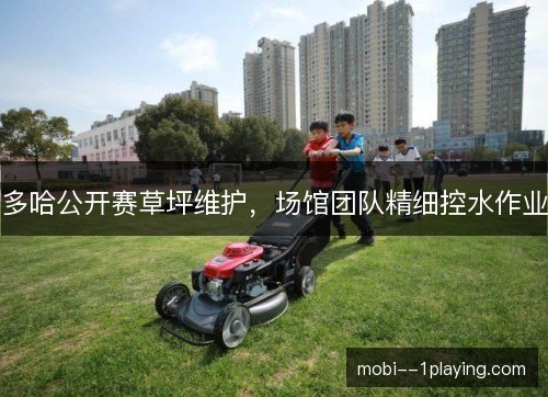 多哈公开赛草坪维护,场馆团队精细控水作业 多哈公开赛草坪维护,场馆团队精细控水作业