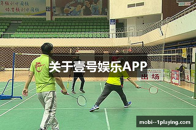 关于壹号娱乐APP